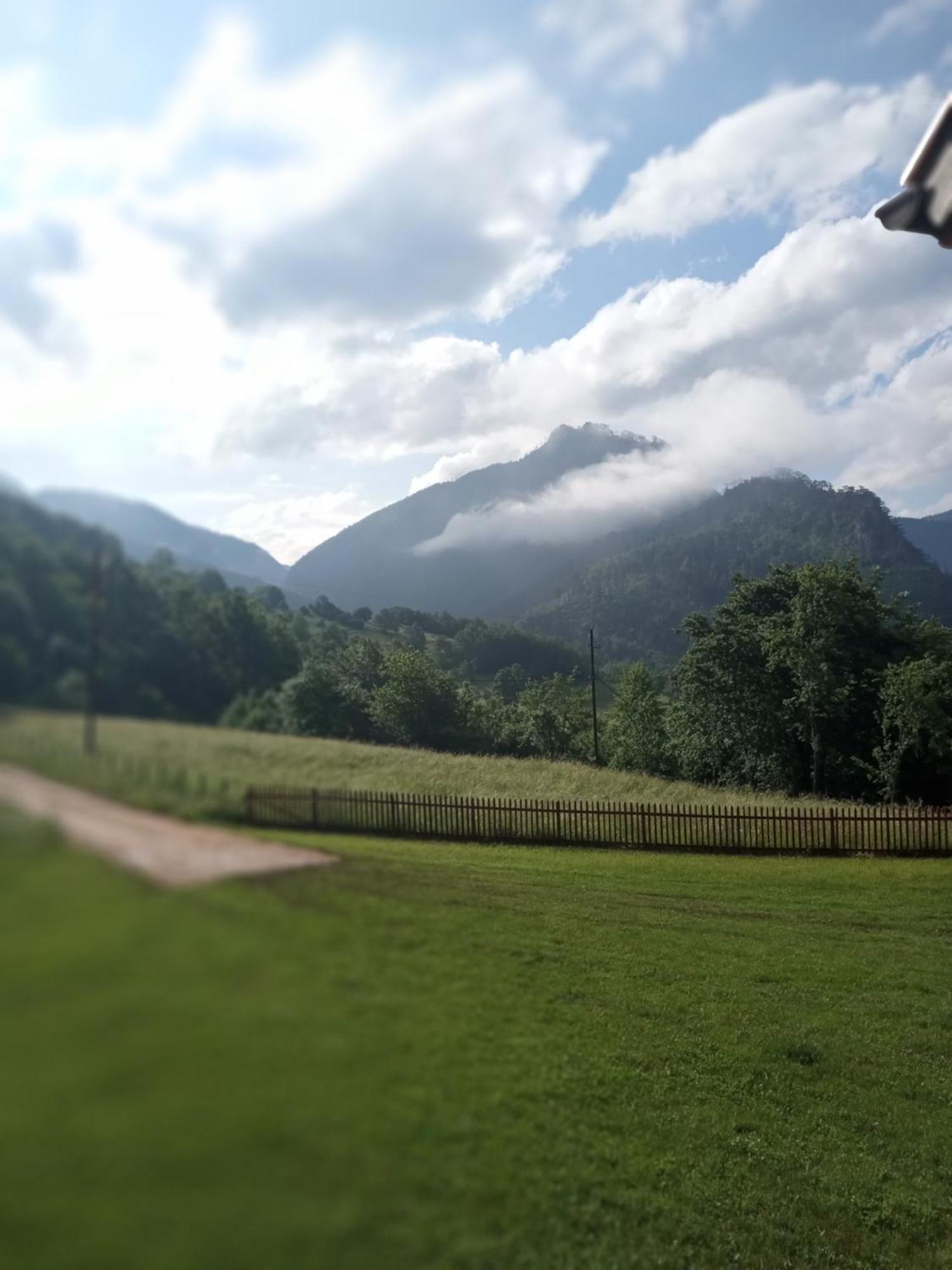 Family Owned Self Sufficient Eco Farm Tara Hotel Pljevlja Exterior photo