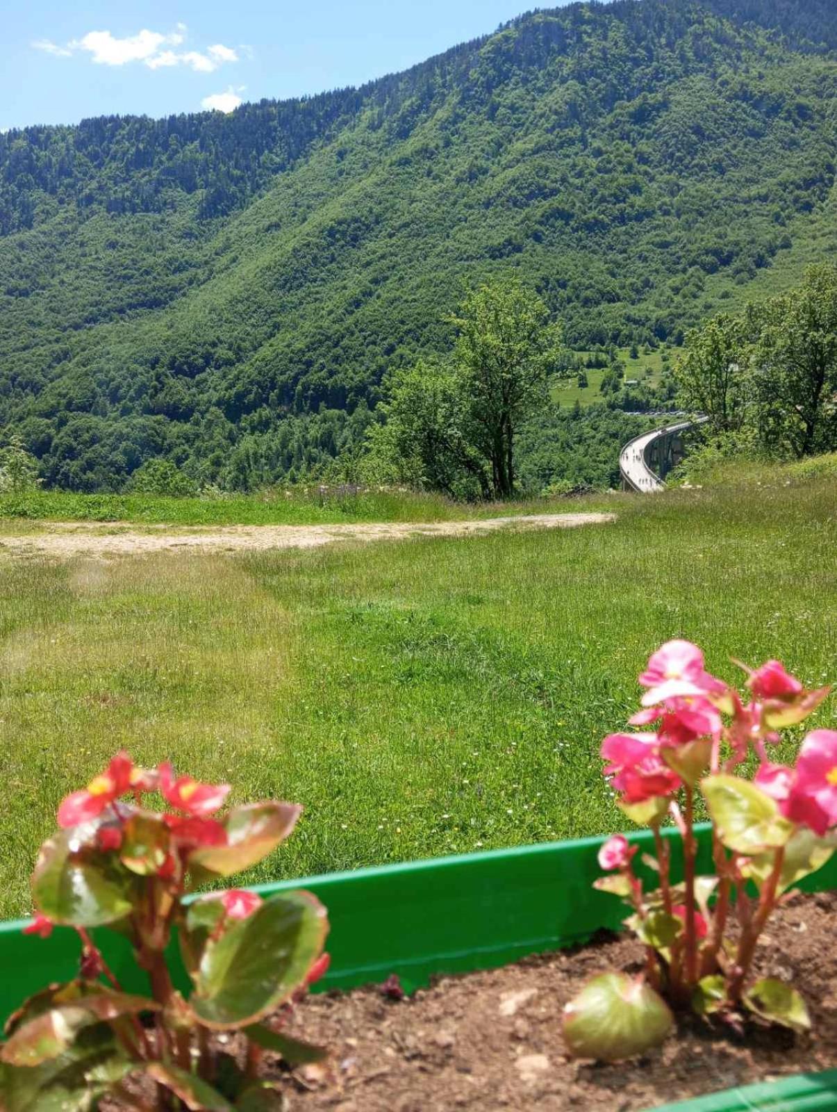 Family Owned Self Sufficient Eco Farm Tara Hotel Pljevlja Exterior photo